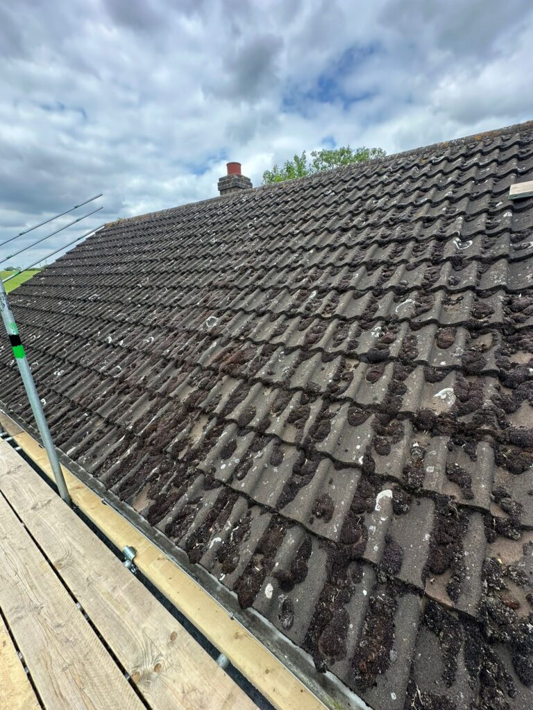 WhatsApp Image 2025-12-04 at 01.12